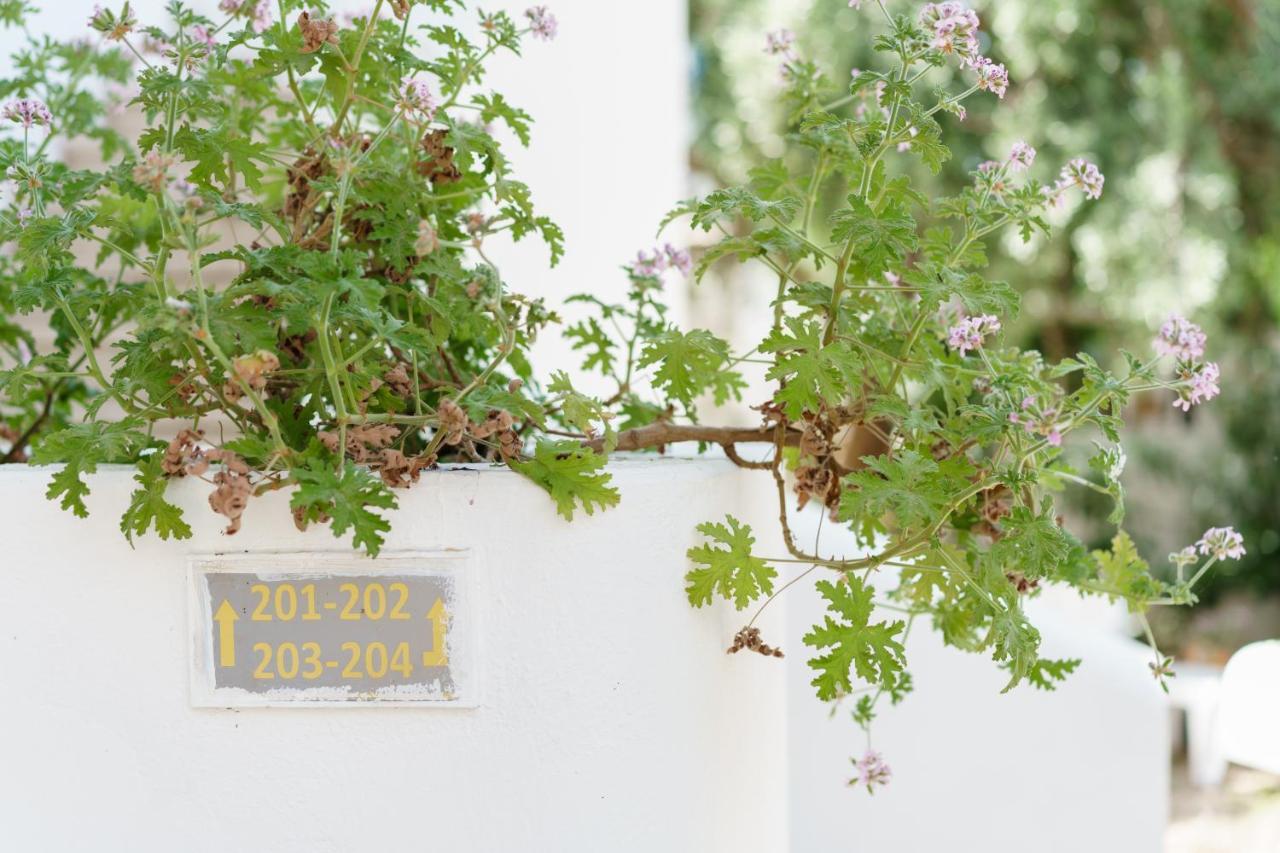 Costa Sariyaz Hotel Αλικαρνασσός Εξωτερικό φωτογραφία